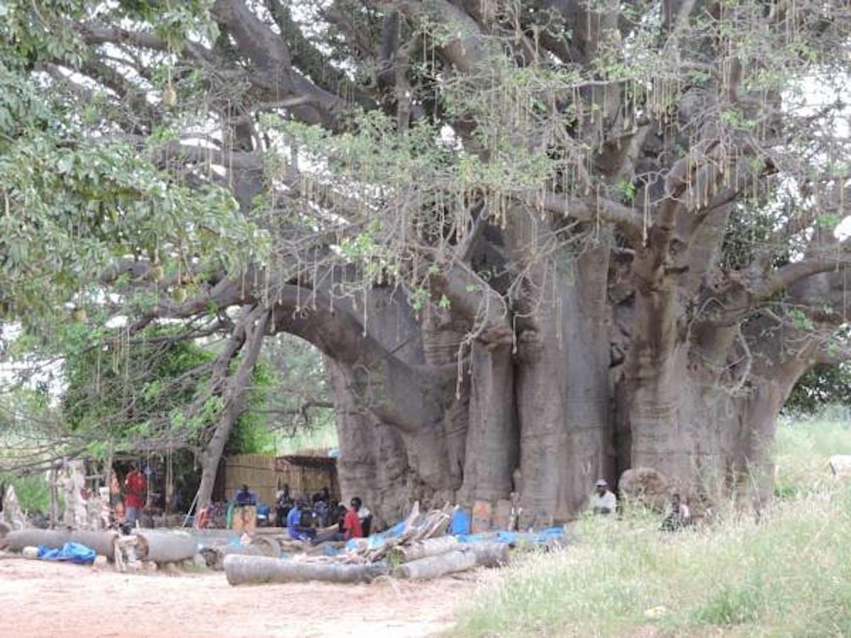 Baobab Lodge Fadial Buitenkant foto